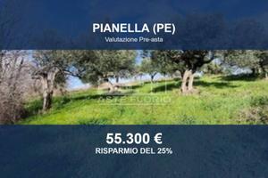 Immobile in asta di 41362 m² a Pianella