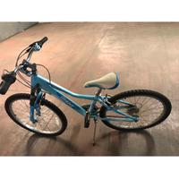 Bicicletta bambina GIANT azzurra cambio Shimano