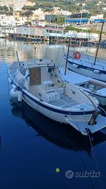 Barca a motore