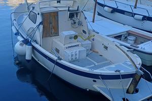 Barca a motore