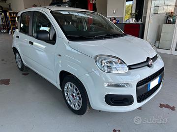 Fiat Panda 1.2 EasyPower Easy GPL Km 24000