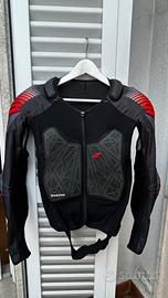 Pettorina Zandona level 2