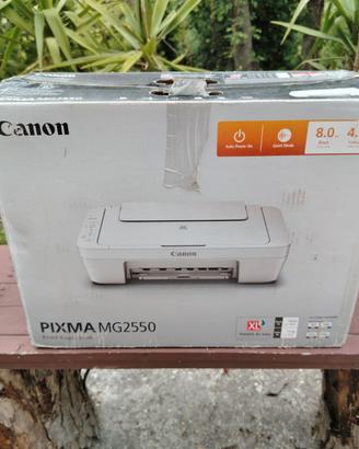 Stampante inkjet multifunzione Canon PIXMA MG2550s