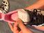 Immagine 5
