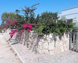 Casa Vacanze Salento Nardò