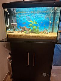 Aquario 60 litri gratis mobiletto e accessori 