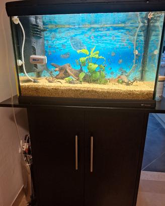 Aquario 60 litri gratis mobiletto e accessori 