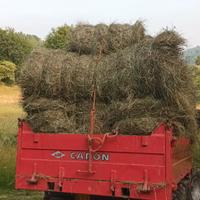 Ballette rotonde fieno di montagna