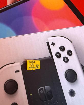 Sandisk nintendo memory card 256GB per switch