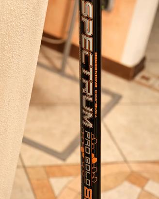 Canna Bolognese 8 metri Trabucco 