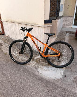 Bici big nine 300 taglia s