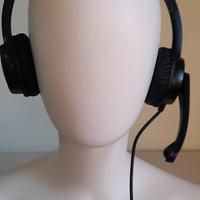Cuffie  Auricolari 🎧 Ngs Vox505 Usb