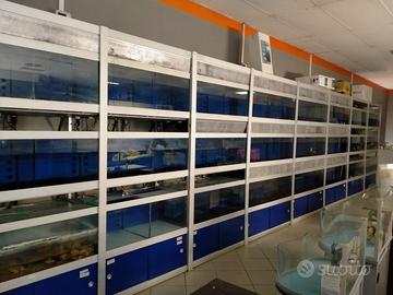 Acquario
