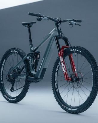 Steppenwolf Tundra 10 | Avinox M2S Carbon