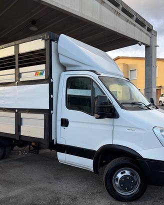 Iveco Daily Trasporto animali vivi patente B 2015