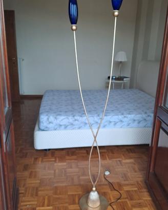 piantana Terzani rose tulip 