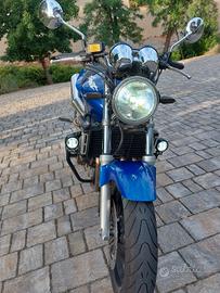 Honda Hornet 
