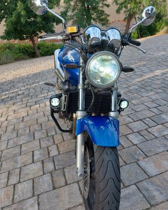 Honda Hornet 