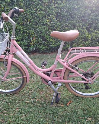 bicicletta alpina 20 