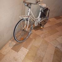 Bicicletta bianchi