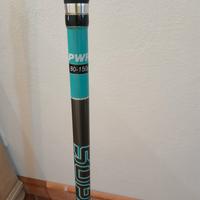 due canne da surfcasting e beach ledgering 