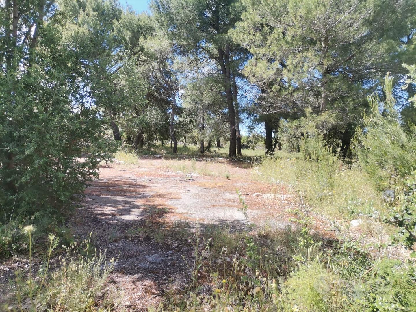 Terreno con trullo - Altro