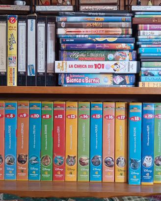 Videocassette e dvd
