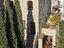 Immagine 6