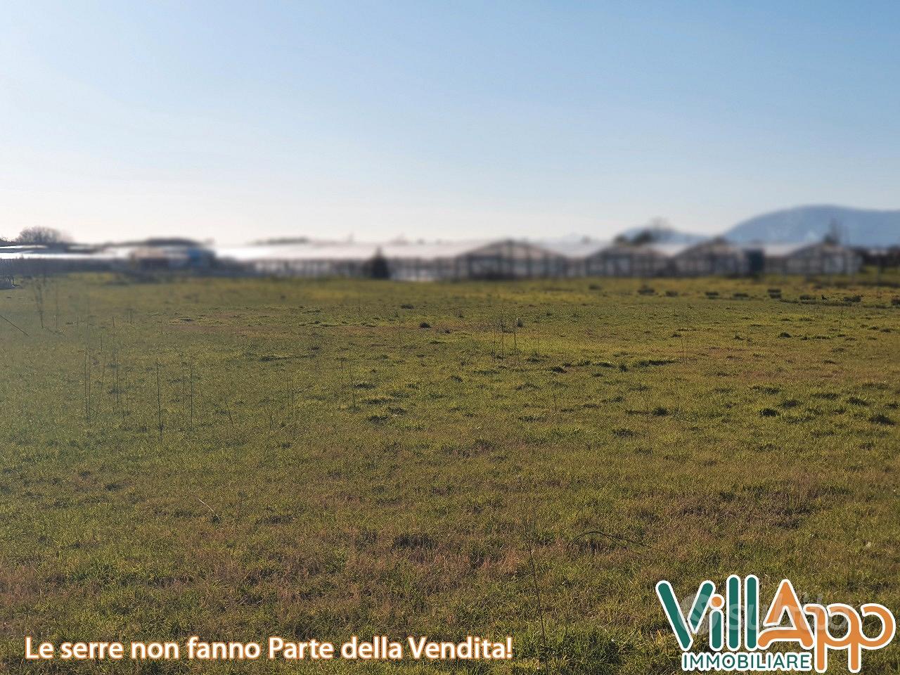 Terreno recintato con POZZO zona Selva Vetere - Vista 5
