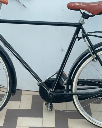 Bicicletta wolsit