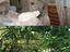 Immagine 17
