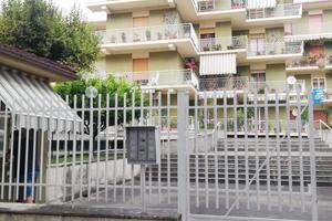 Camera singola in appartamento condiviso