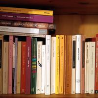 36 libri di autori vari scaffale 3