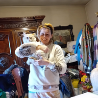 Mestieri e Pulito al vostro Domicilio