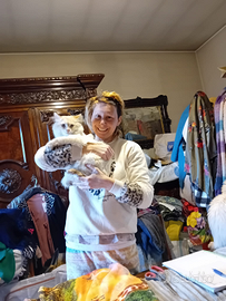 Mestieri e Pulito al vostro Domicilio