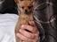 Immagine 1