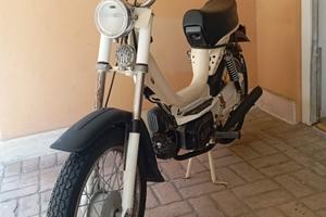 Califfone rizzato 50