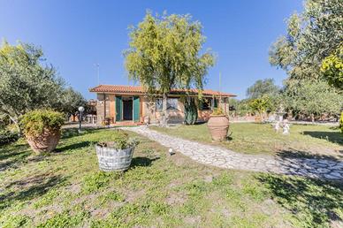 VILLA SINGOLA A MONTEROSI