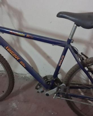 Mountain bike