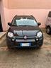 fiat-panda-1-2-city-cross