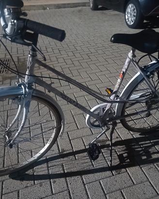 bicicletta da donna 