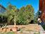 Immagine 26