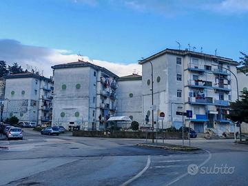 Appartamento - Zona universitaria