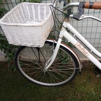 Bicicletta Vintage