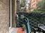 Immagine 8