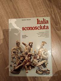 Libro Italia Sconosciuta