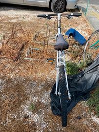 Bicicletta