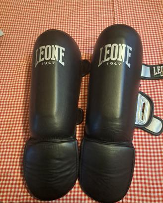 Parastinchi Leone 1947 "Smart" con parapiede - Tag