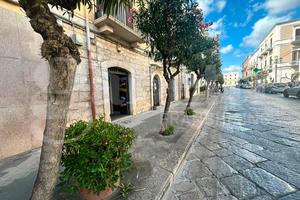 Negozio Trani [Cod. rif 3328944VCG]