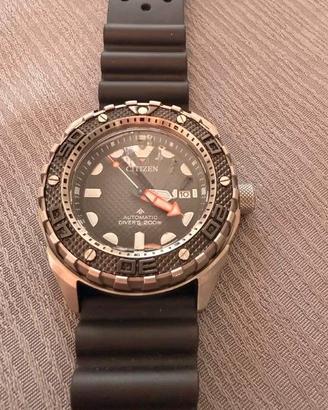 Citizen Promaster NB6004